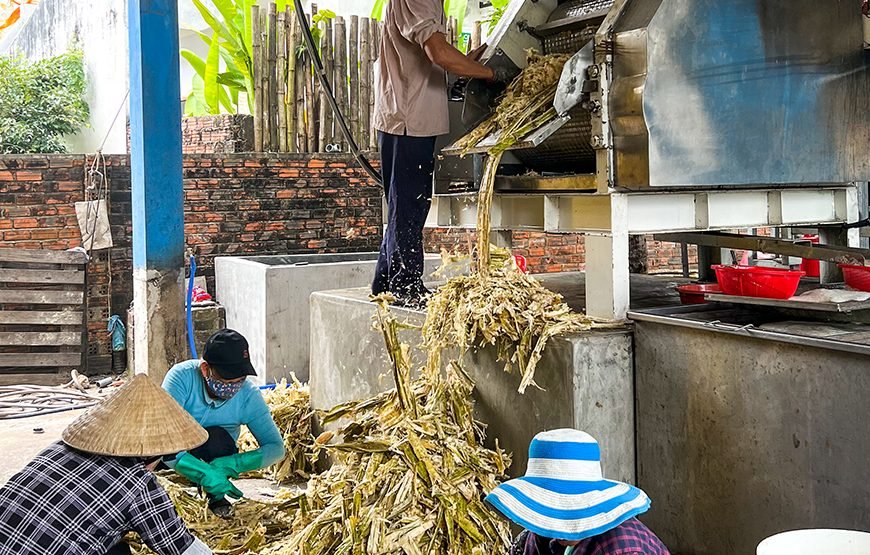Full-day Cultural Cruise Discovering Hoi An’s Treasures And Rhum Production