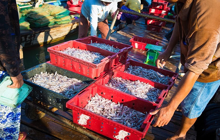 Full-day Cultural Cruise Discovering Hoi An’s Treasures And Rhum Production