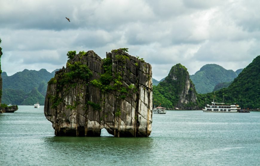 Private tour: Full-day Island Escapade In Cat Ba