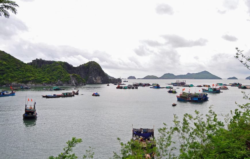 Private tour: Full-day Island Escapade In Cat Ba