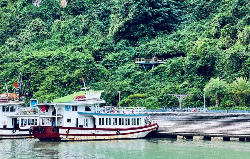 Private tour: Full-day Island Escapade In Cat Ba