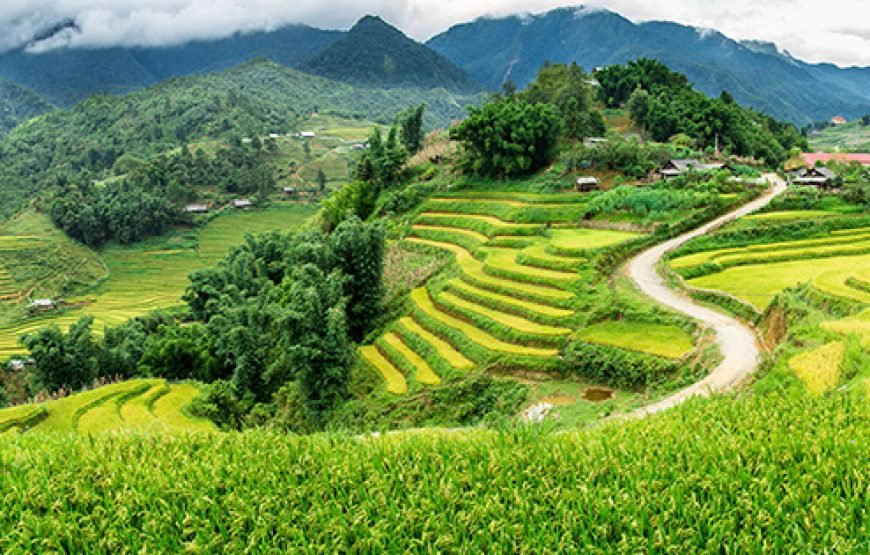 Private tour: Vietnam 13 – Day Heritage And Golden Bridge Tour