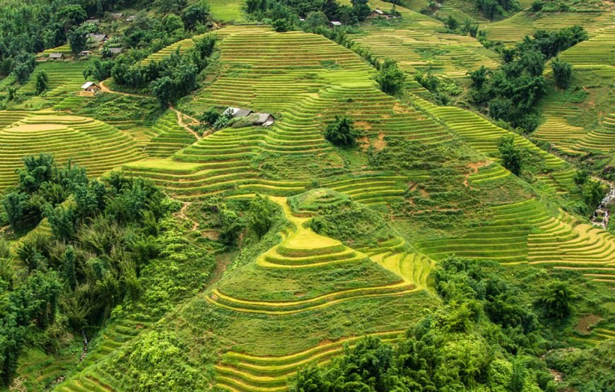 Private tour: Vietnam 13 – Day Heritage And Golden Bridge Tour