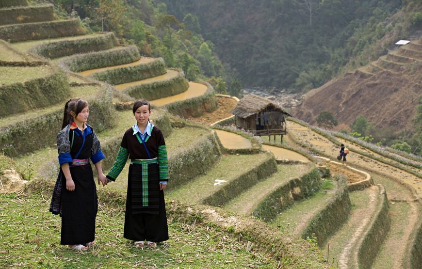 Private tour: Vietnam 13 – Day Heritage And Golden Bridge Tour