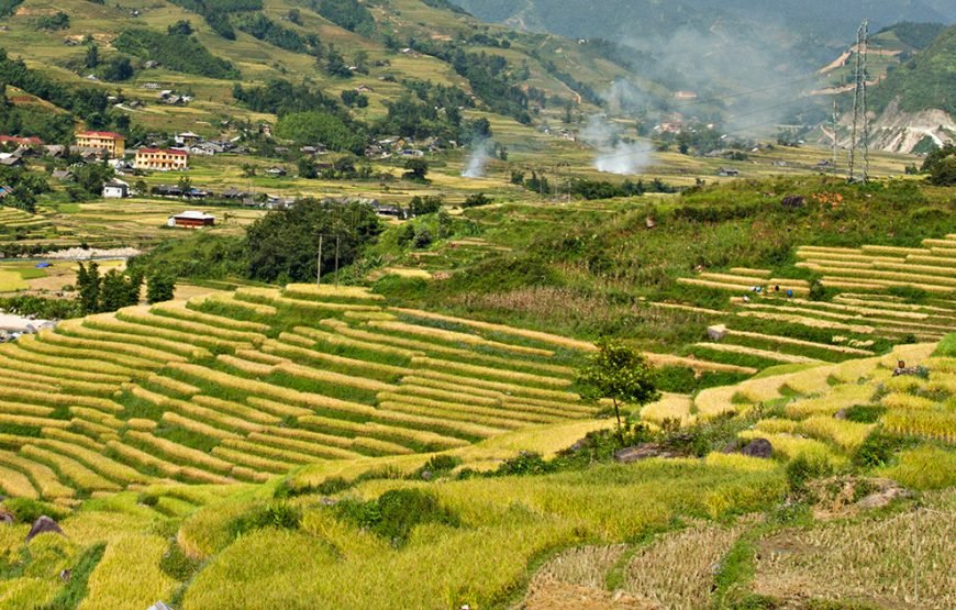 Private tour: Vietnam 13 – Day Heritage And Golden Bridge Tour
