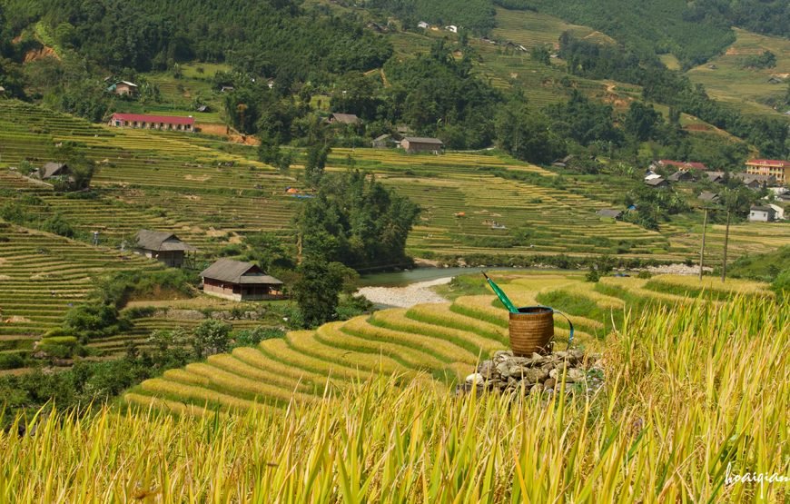 Private tour: Vietnam 13 – Day Heritage And Golden Bridge Tour
