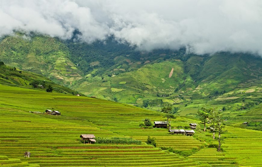 Private tour: Vietnam 13 – Day Heritage And Golden Bridge Tour