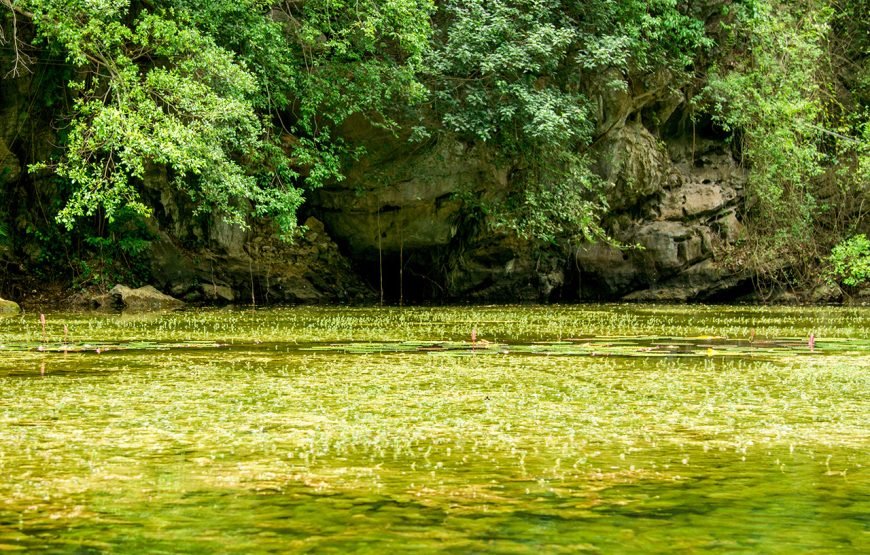 Private tour: Full-day Exploring Hoa Lu And Trang An Grottoes