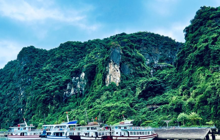 Private tour: Half-day Ha Long Bay Dream Cruise