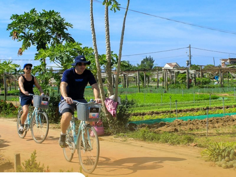 Private tour: Half-day Farm To Table Adventure In Tra Que Village