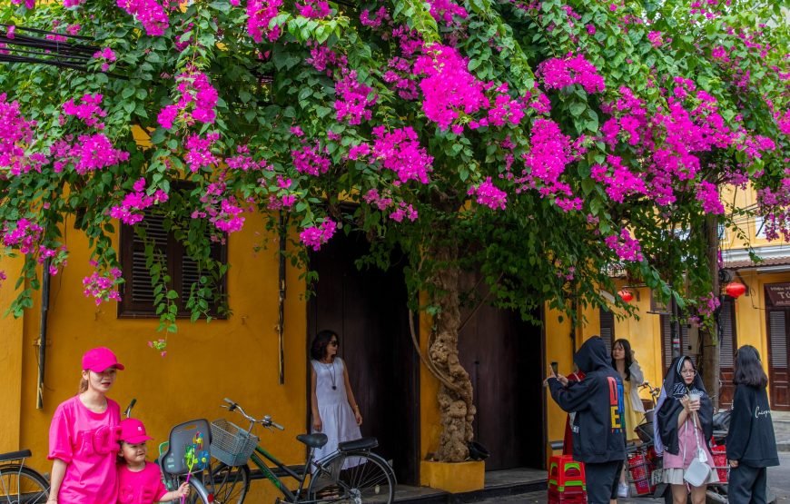 Half-day Hoi An Heritage Walk