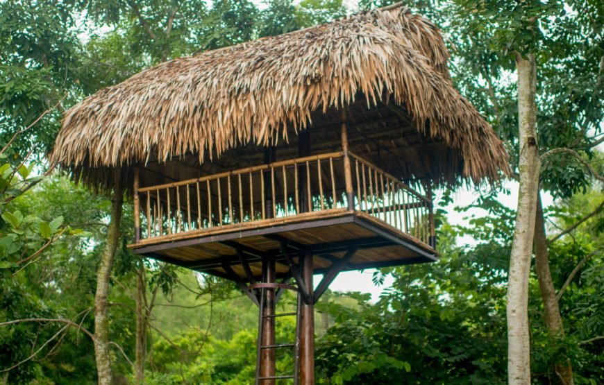 Full-day Nature’s Bliss From Hot Springs To Zip Line