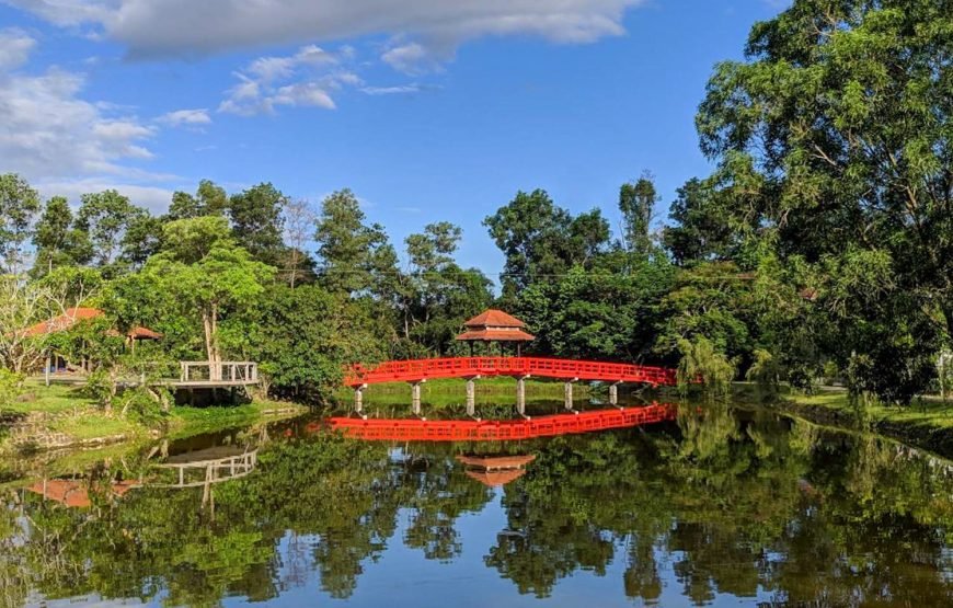 Full-day Nature’s Bliss From Hot Springs To Zip Line