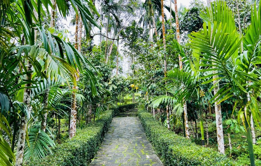 Private tour: Full-day Loc Yen Ancient Village And O O Waterfall Adventure