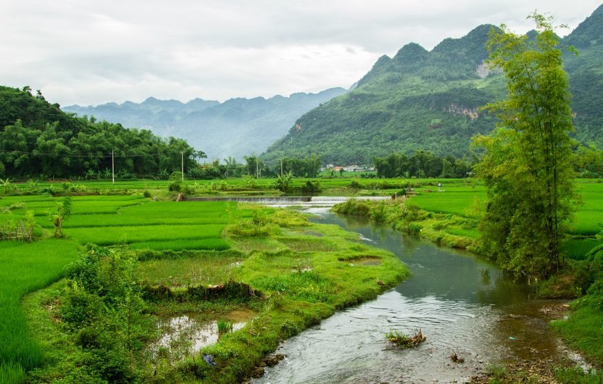 Private tour: Full-day Authentic Mai Chau Experience