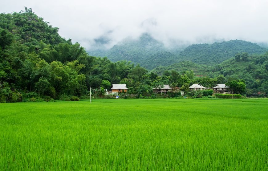 Private tour: Full-day Authentic Mai Chau Experience