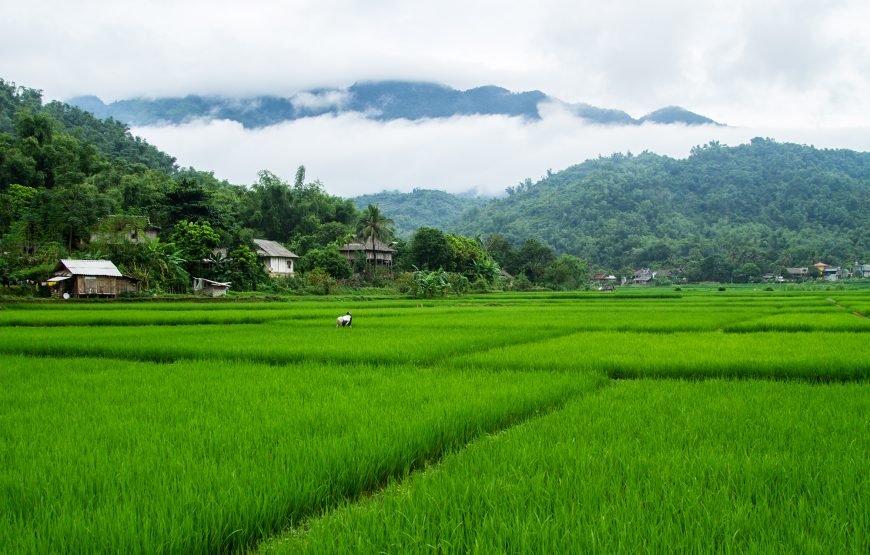 Private tour: Full-day Authentic Mai Chau Experience