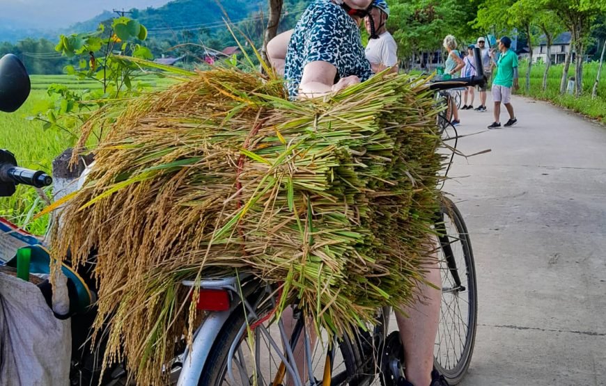 Private tour: Full-day Authentic Mai Chau Experience