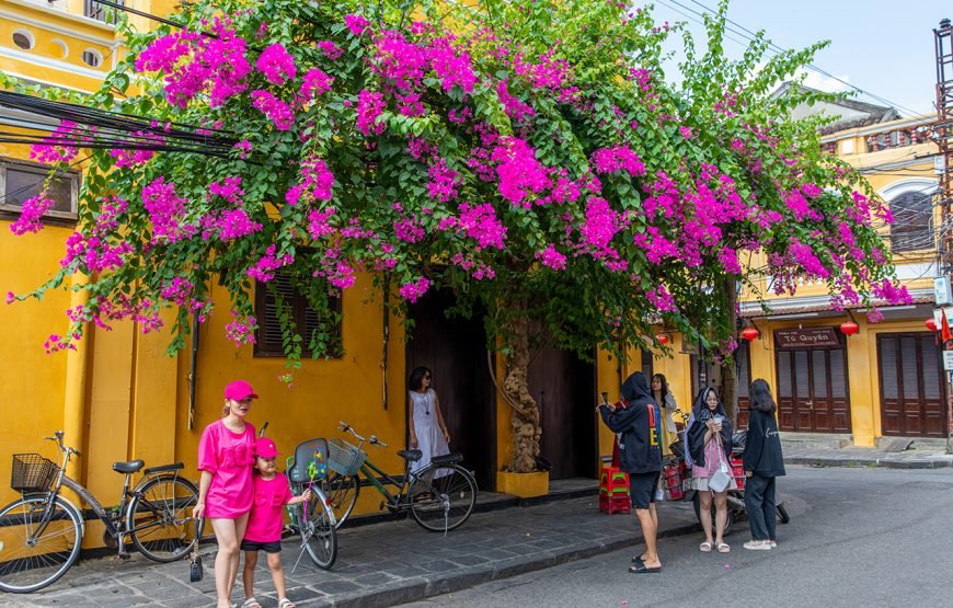 Vietnam 10 – Day South-To-North Cultural Odyssey