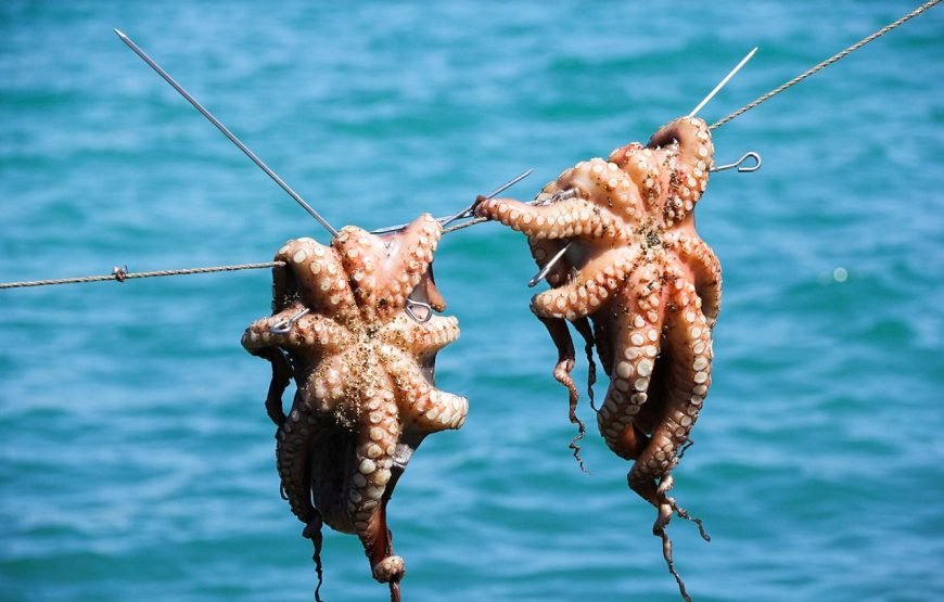 Phu Quoc Night Squid Fishing Experience