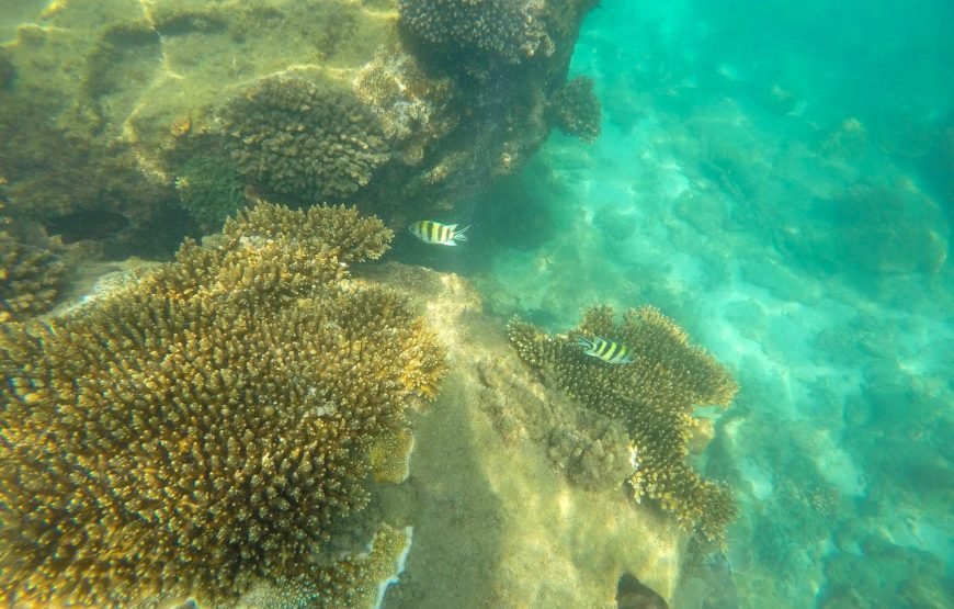 Full-day Phu Quoc Island Snorkeling Adventure