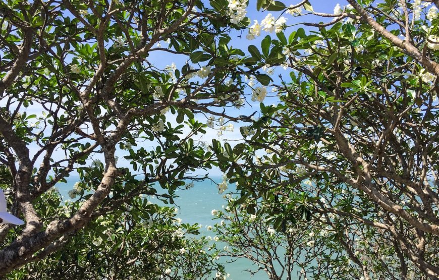 Private tour: Full-day Vung Tau City Tour From Phu My Port