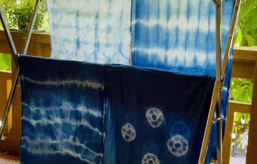 Short Activity: 1.5-hour Fabric Dyeing Layer