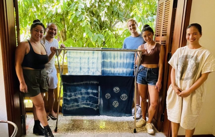 Short Activity: 1.5-hour Fabric Dyeing Layer