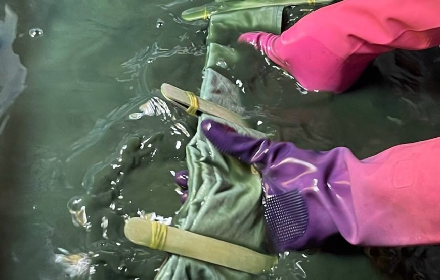 Short Activity: 1.5-hour Fabric Dyeing Layer