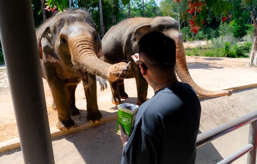 Entry Ticket: Vinpearl Safari Phu Quoc