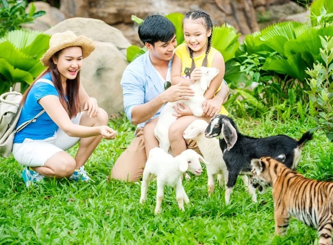Entry Ticket: Vinpearl Safari Phu Quoc