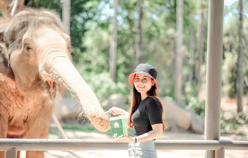 Entry Ticket: Vinpearl Safari Phu Quoc