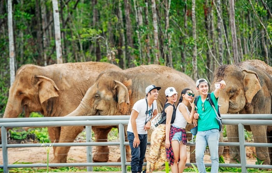 Entry Ticket: Vinpearl Safari Phu Quoc